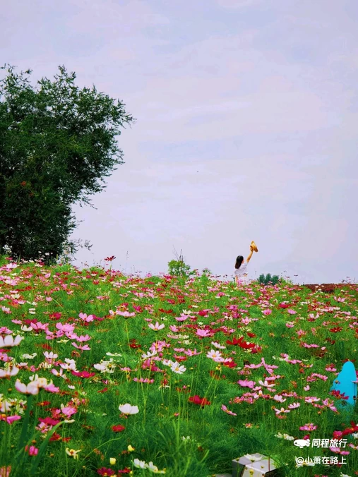四季花岛 - 成都市旅游