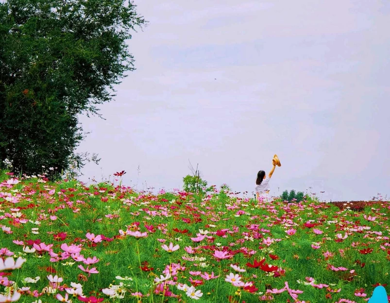 四季花岛 - 成都市旅游 1