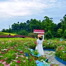 四季花岛 - 成都市旅游 缩略图 5