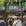成都市·成都市人民公园