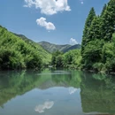 王位山 - 杭州市旅游 缩略图 8