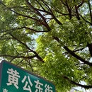 昆明翠湖公园 - 昆明市旅游 缩略图 6