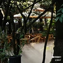 成都市人民公园 - 成都市旅游 缩略图 4
