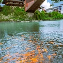 泗溪廊桥风景区 - 温州市旅游 缩略图 2