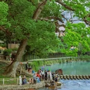 泗溪廊桥风景区 - 温州市旅游 缩略图 6