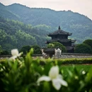 广渡村 - 衢州市旅游 缩略图 3