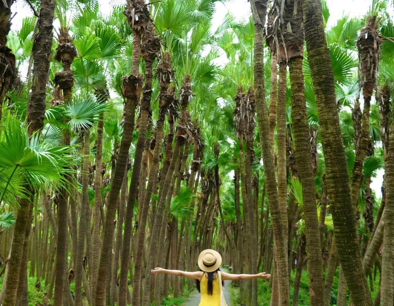 南坦葵林生态湿地公园 - 江门旅游 1