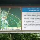 南坦葵林生态湿地公园 - 江门旅游 缩略图 8