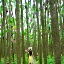 南坦葵林生态湿地公园 - 江门旅游 缩略图 6