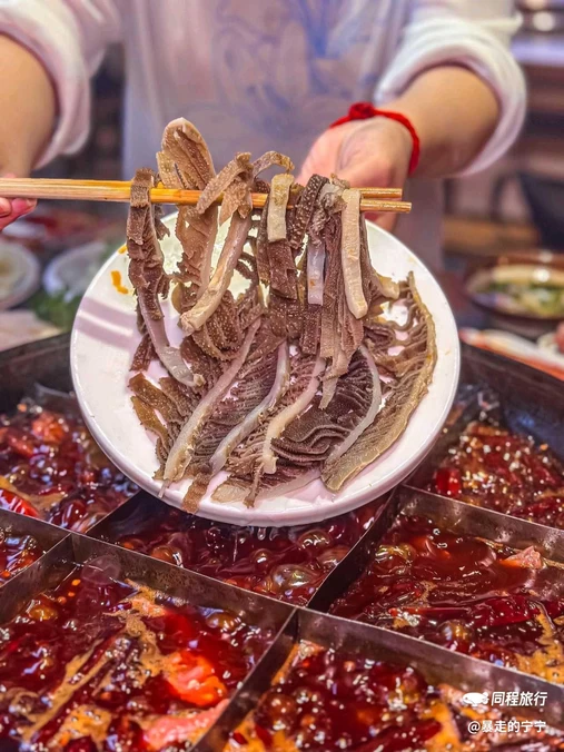 重庆动物园 - 重庆市旅游