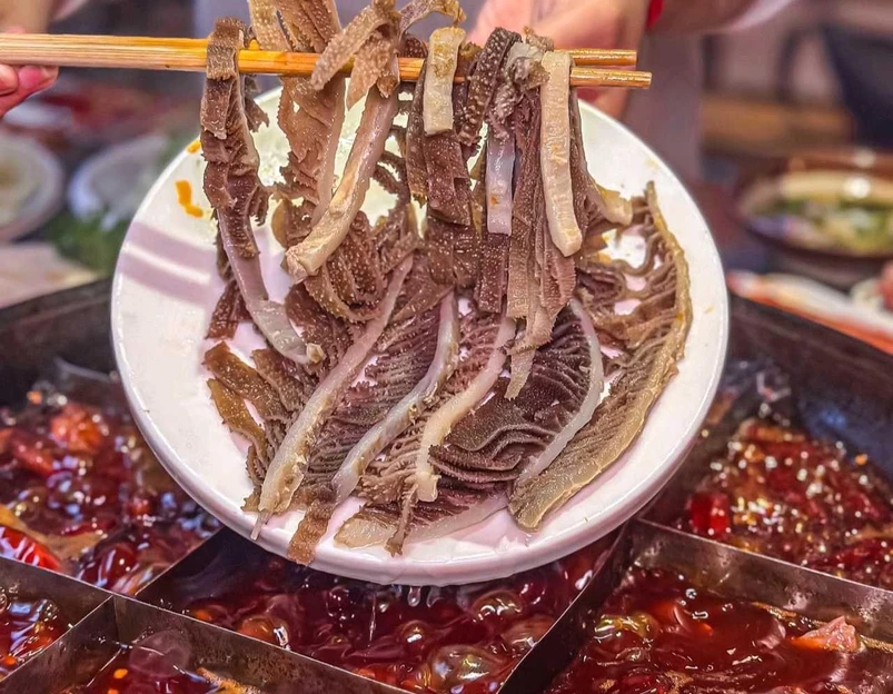 重庆动物园 - 重庆市旅游 1