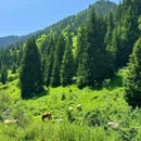 阿拉木图州 - 哈萨克斯坦旅游 缩略图 1