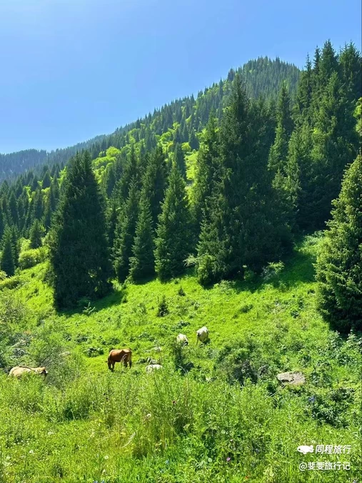 阿拉木图州 - 哈萨克斯坦旅游