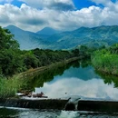 钓鲤东成荷花园停车场 - 广州市旅游 缩略图 5