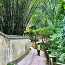白鹤山 - 雅安市旅游 缩略图 5