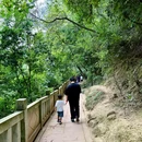 白鹤山 - 雅安市旅游 缩略图 4