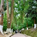 白鹤山 - 雅安市旅游 缩略图 2