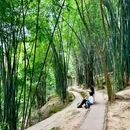 白鹤山 - 雅安市旅游 缩略图 1