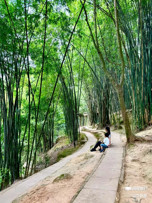 白鹤山 - 雅安市旅游