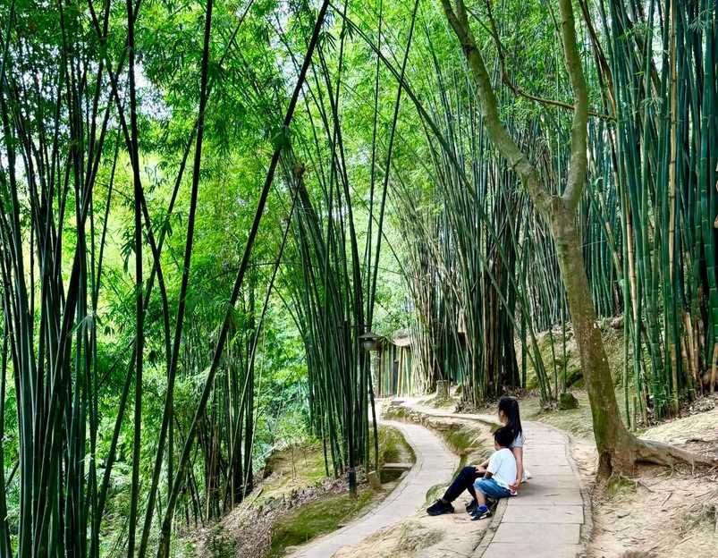 白鹤山 - 雅安市旅游 1