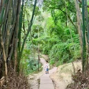 白鹤山 - 雅安市旅游 缩略图 8