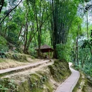 白鹤山 - 雅安市旅游 缩略图 7