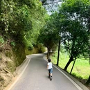 白鹤山 - 雅安市旅游 缩略图 9