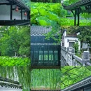 包孝肃公祠 - 合肥市旅游 缩略图 1