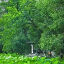 包孝肃公祠 - 合肥市旅游 缩略图 9