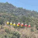 灵隐寺 - 杭州市旅游 缩略图 5