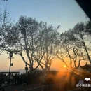 灵隐寺 - 杭州市旅游 缩略图 4