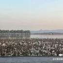 灵隐寺 - 杭州市旅游 缩略图 7
