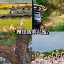 斯里兰卡 - 海外旅游 缩略图 5