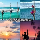 斯里兰卡 - 海外旅游 缩略图 3