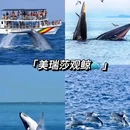 斯里兰卡 - 海外旅游 缩略图 7