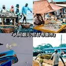 斯里兰卡 - 海外旅游 缩略图 8