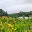 四川宋瓷博物馆 - 遂宁市旅游 缩略图 6