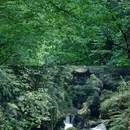 云孚里云宿·峨眉山云水居私汤民宿 - 乐山市旅游 缩略图 3