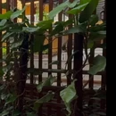亿啡丽呈明宇酒店(告庄星光夜市店) - 西双版纳傣族自治州旅游 缩略图 5