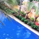亿啡丽呈明宇酒店(告庄星光夜市店) - 西双版纳傣族自治州旅游 缩略图 4