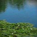 莫奈花园 - 北京市旅游 缩略图 7