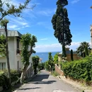 伊斯坦布尔 - 土耳其旅游 缩略图 5