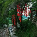 碗窑古村落风景区-苍南碗窑古村 - 温州市旅游 缩略图 4