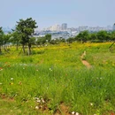 小麦岛公园 - 青岛市旅游 缩略图 1