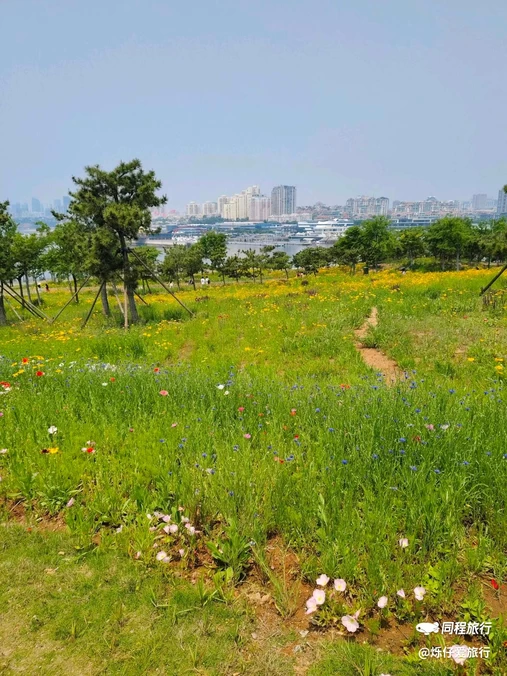 小麦岛公园 - 青岛市旅游