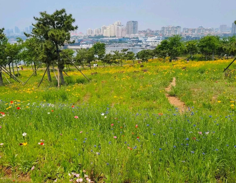 小麦岛公园 - 青岛市旅游 1