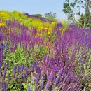 小麦岛公园 - 青岛市旅游 缩略图 6