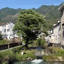 虹关村 - 上饶市旅游 缩略图 8