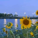 西安大雁塔 - 西安市旅游 缩略图 4