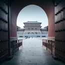 洛阳旅游 缩略图 9